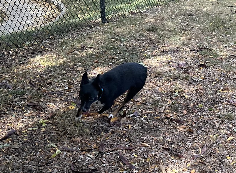 Creager Field Dog Park - Dayton, OH