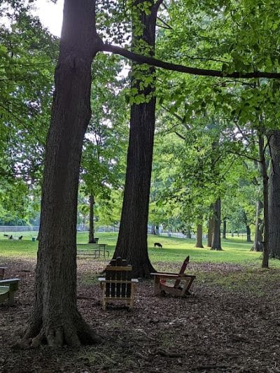 Deeds Point Dog Park - Dayton, OH