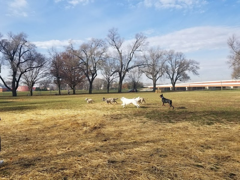 Deeds Point Dog Park - Dayton, OH