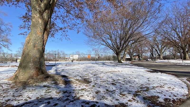 Deeds Point Dog Park - Dayton, OH