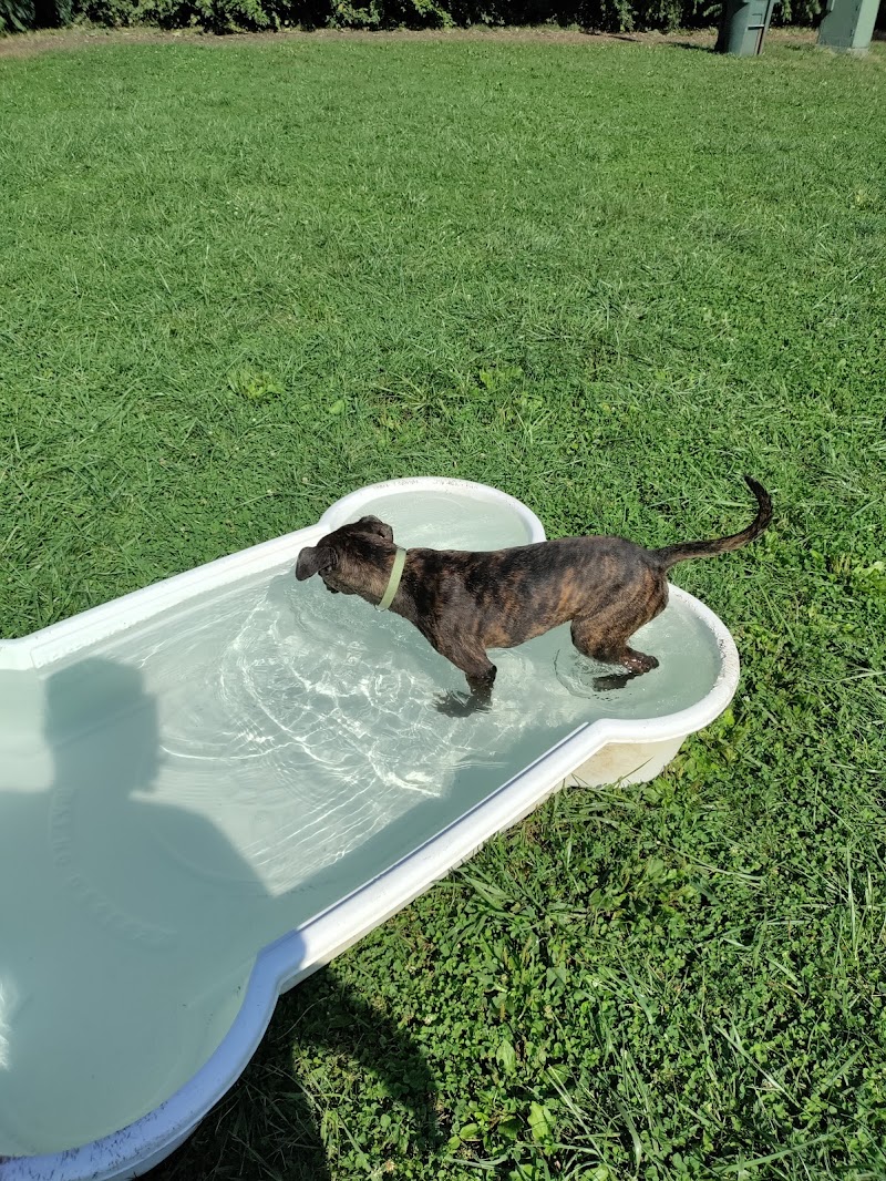 Deeds Point Dog Park - Dayton, OH