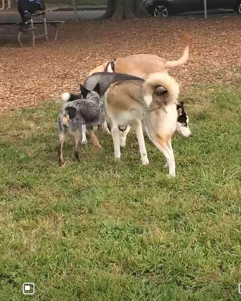 Deeds Point Dog Park - Dayton, OH