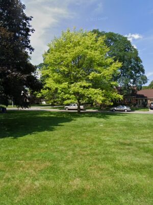Delta Park