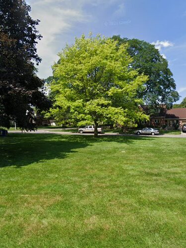 Delta Park