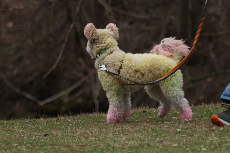 Eastwood MetroPark Lake Entrance - Dayton, OH