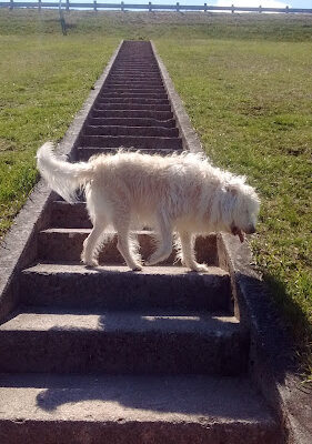 Englewood MetroPark