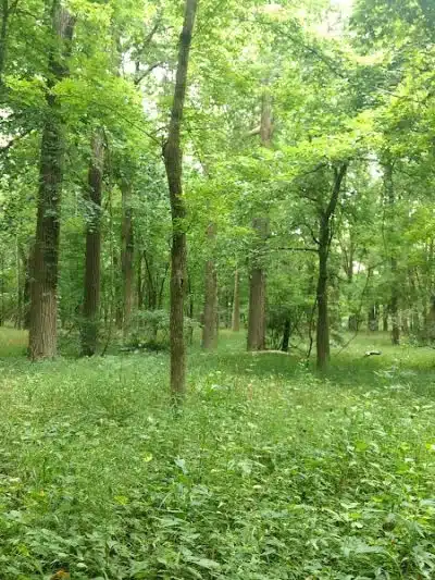Englewood MetroPark - Dayton, OH