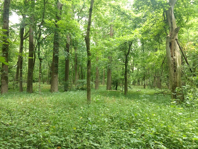 Englewood MetroPark - Dayton, OH