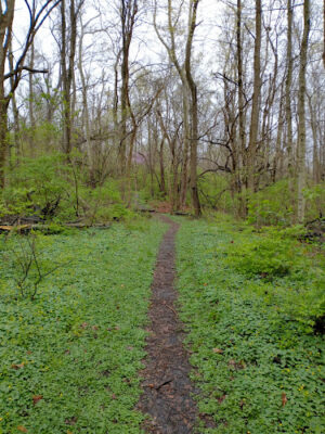 Englewood MetroPark South Park