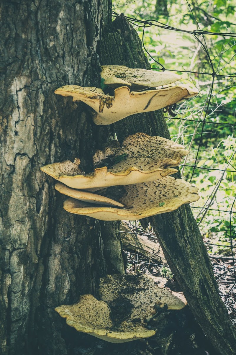 Englewood MetroPark South Park - Dayton, OH