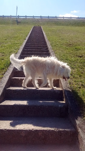 Englewood MetroPark
