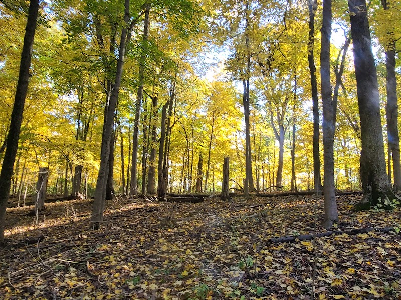 Grant Park - Dayton, OH