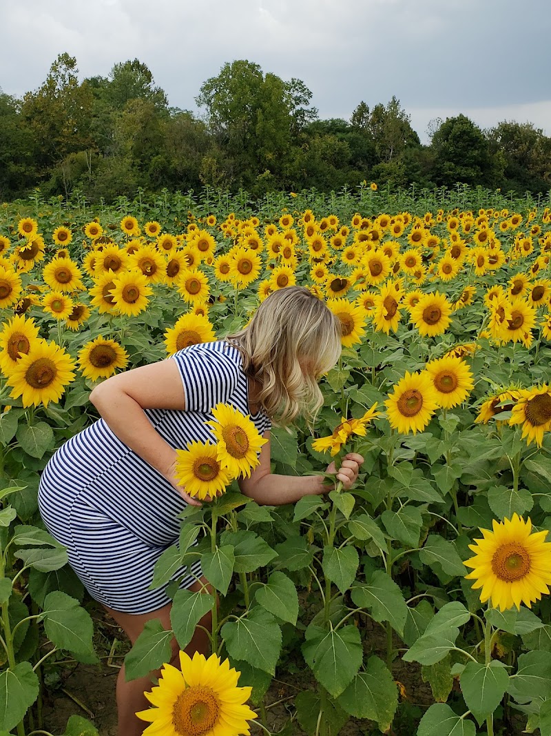 Holes Creek Park - Dayton, OH