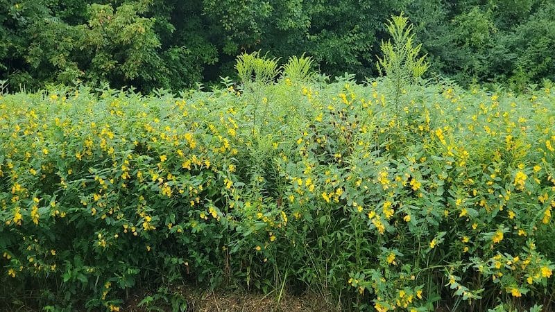 Holes Creek Park - Dayton, OH