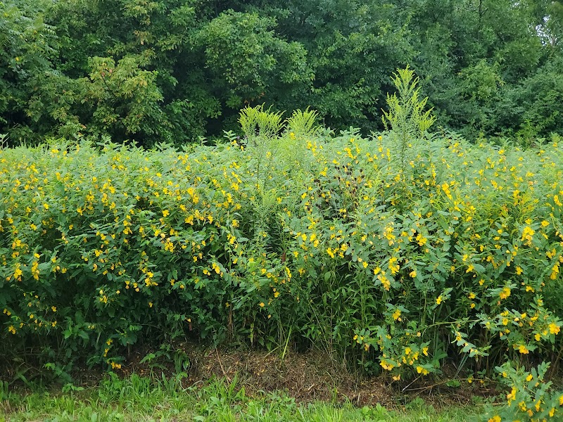 Holes Creek Park - Dayton, OH