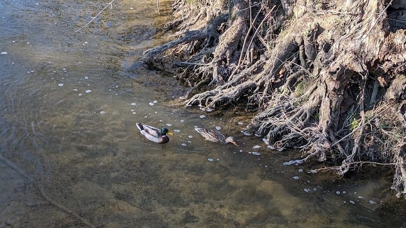 Holes Creek Park - Dayton, OH
