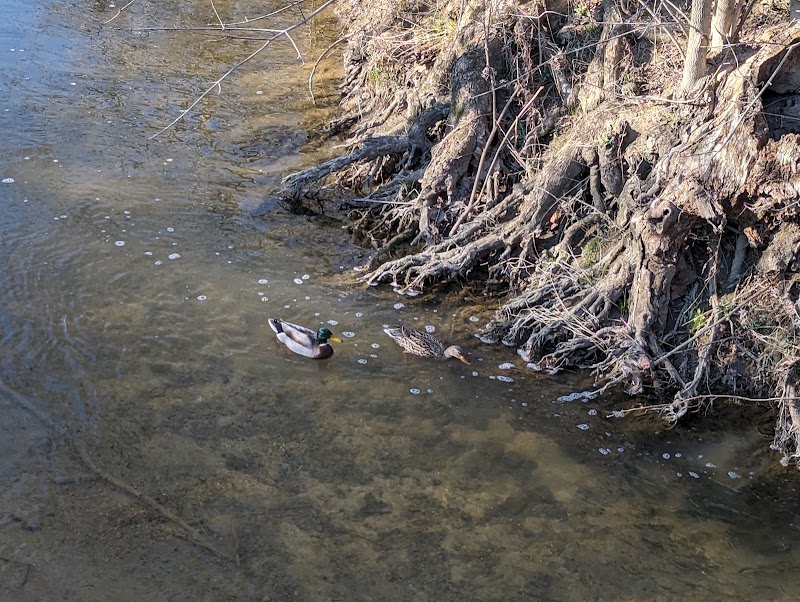 Holes Creek Park - Dayton, OH