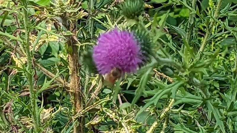 Holes Creek Park - Dayton, OH