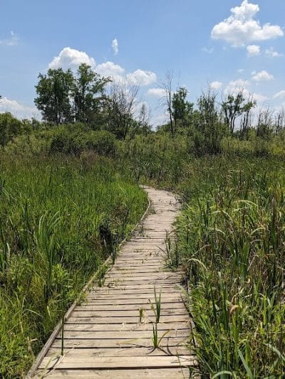 Koogler Wetland Prairie Reserve - Dayton, OH