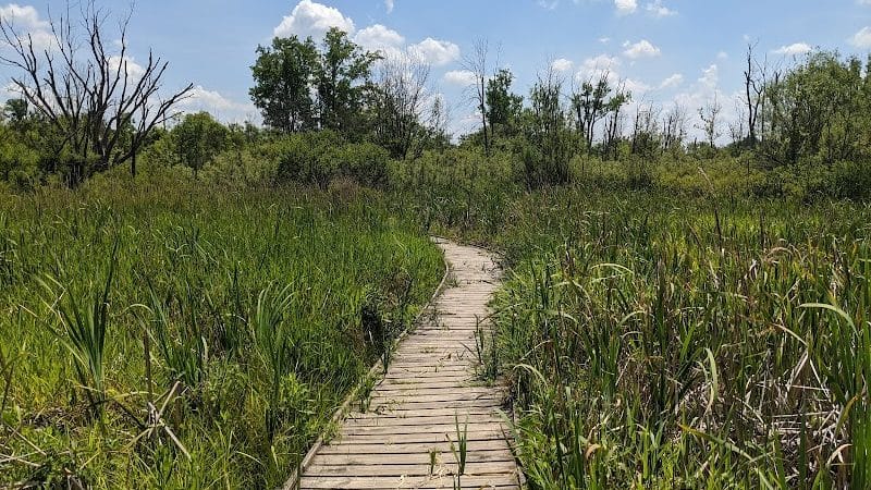 Koogler Wetland Prairie Reserve - Dayton, OH