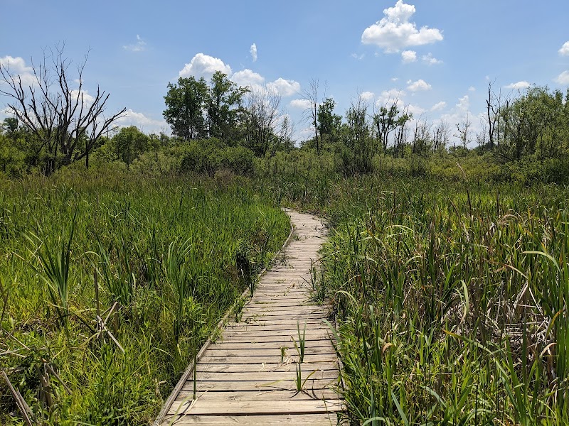 Koogler Wetland Prairie Reserve - Dayton, OH