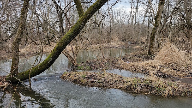 Koogler Wetland Prairie Reserve - Dayton, OH
