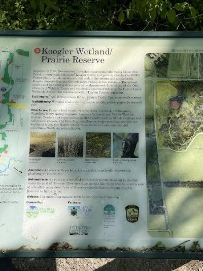 Koogler Wetland Prairie Reserve - Dayton, OH