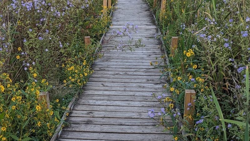 Koogler Wetland Prairie Reserve - Dayton, OH
