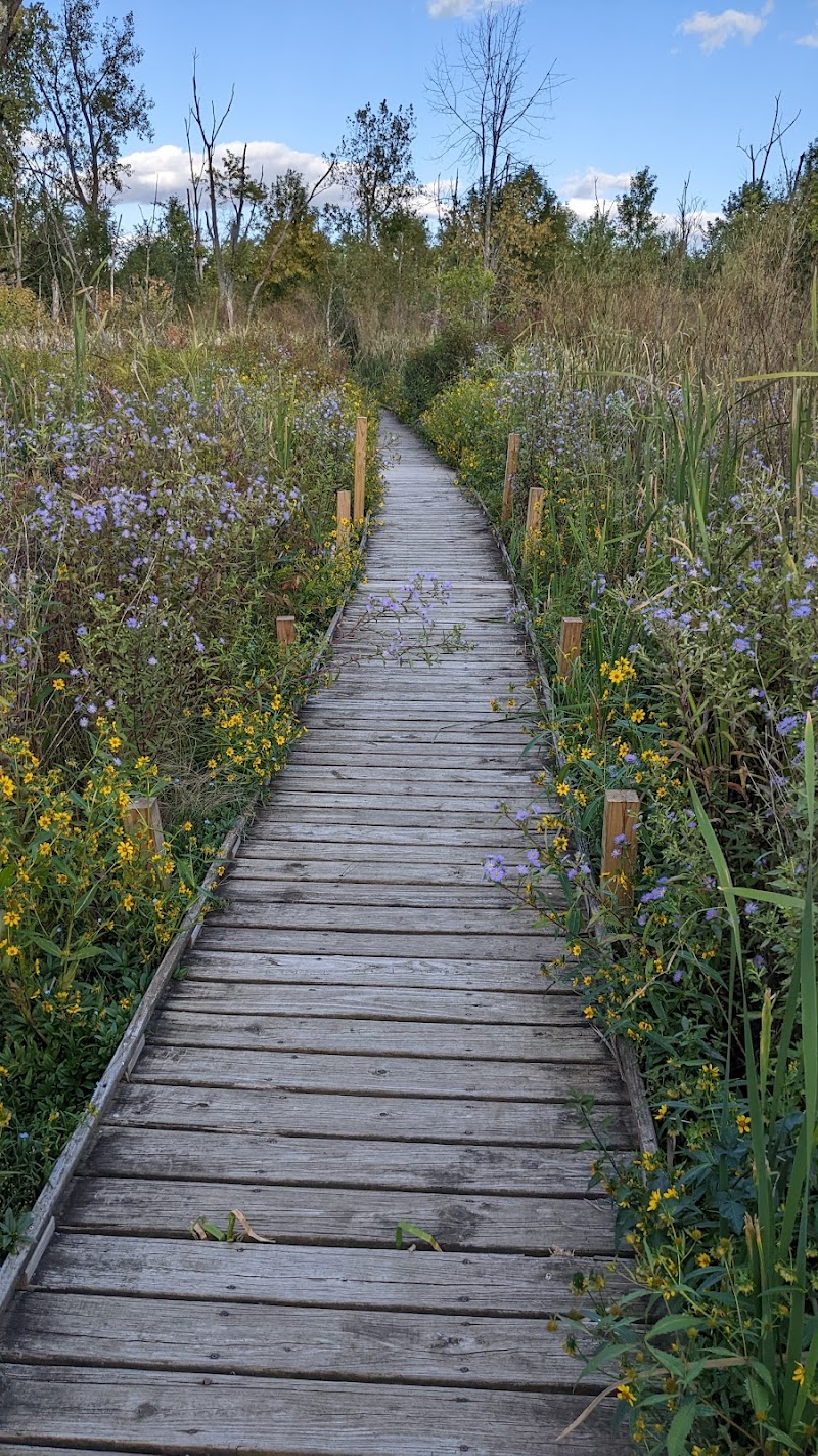 Koogler Wetland Prairie Reserve - Dayton, OH