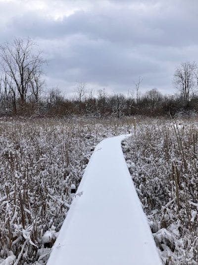 Koogler Wetland Prairie Reserve - Dayton, OH