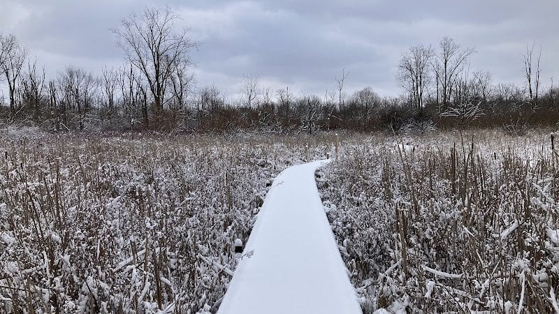 Koogler Wetland Prairie Reserve - Dayton, OH