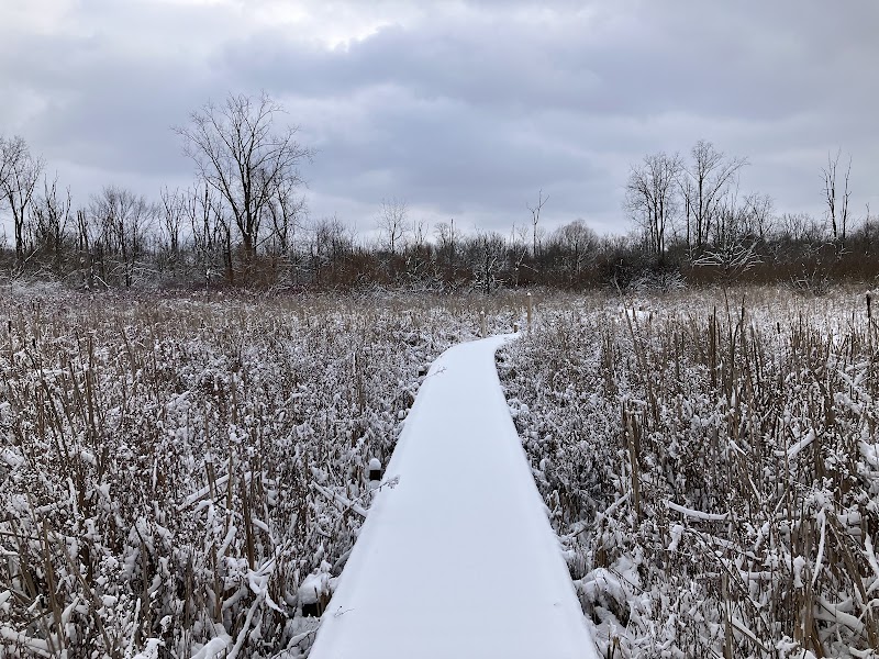 Koogler Wetland Prairie Reserve - Dayton, OH
