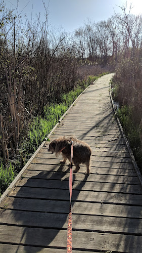 Koogler Wetland Prairie Reserve