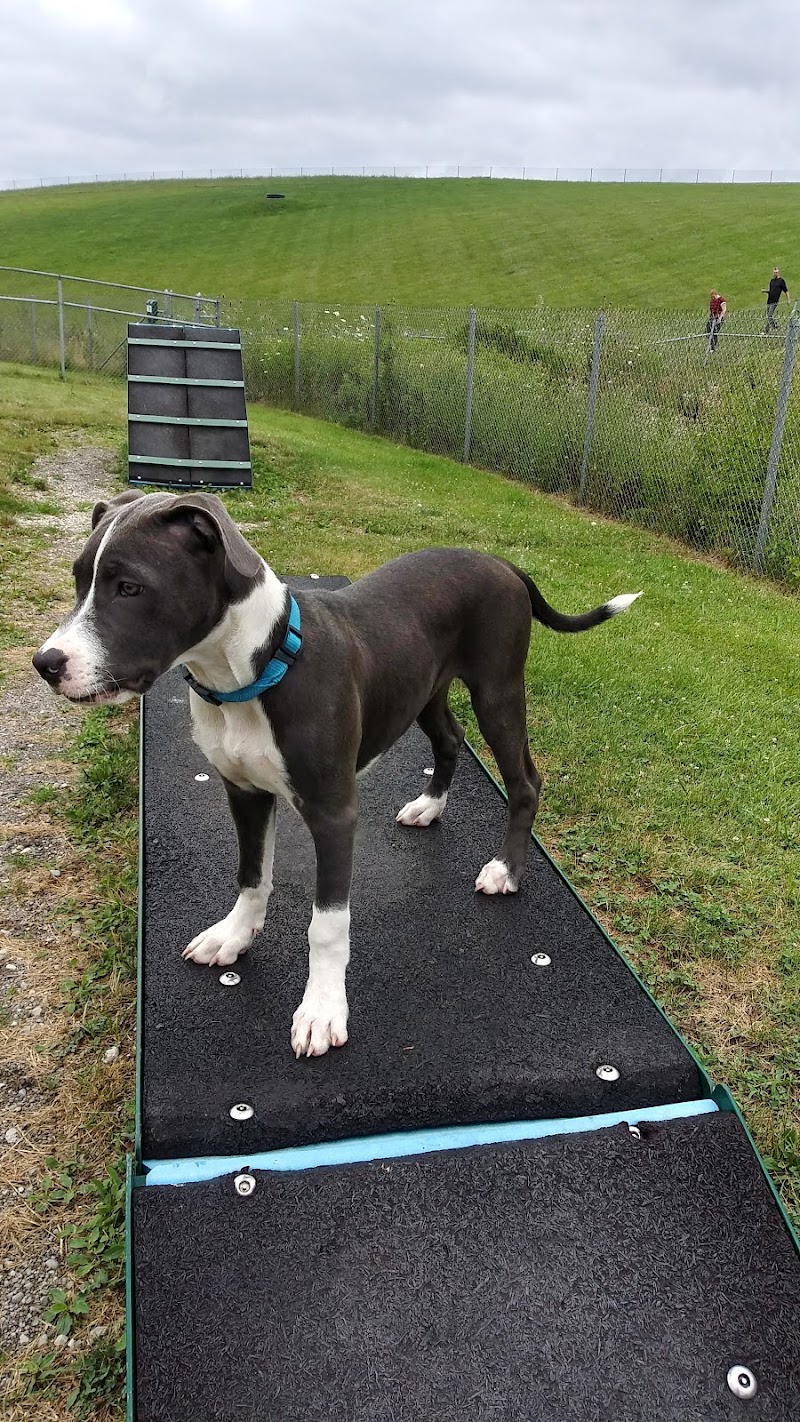 Montgomery County Bark Park Dayton - Dayton, OH