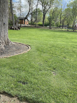 Moon Dogs Express Pet Care (Private Dog Park)