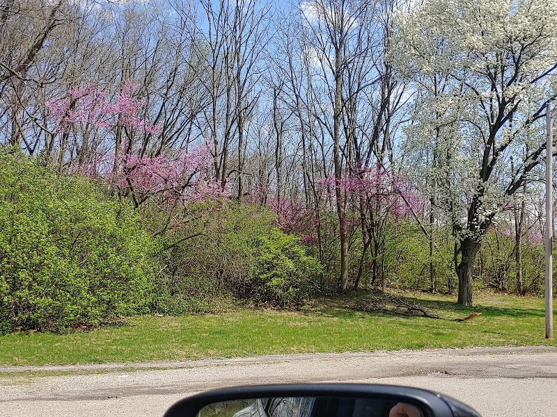 Triangle Park - Dayton, OH