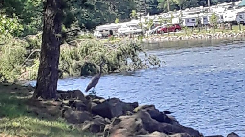 Tappan Park Amphitheater - Deersville, OH