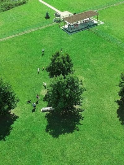 Defiance Bark And Run (Membership Required) - Defiance, OH