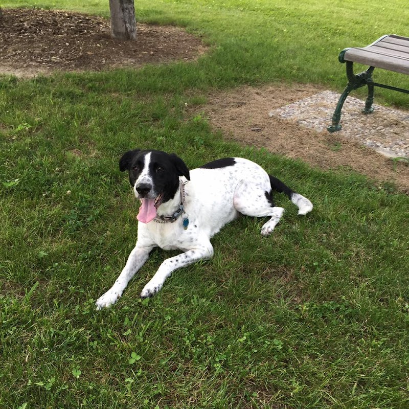 Defiance Bark And Run (Membership Required) - Defiance, OH