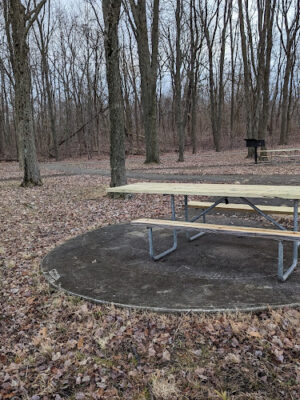 Alum Creek State Park Cheshire Rd Picnic Area