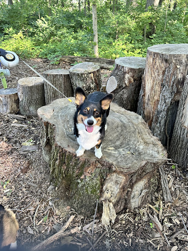 Boulder Park