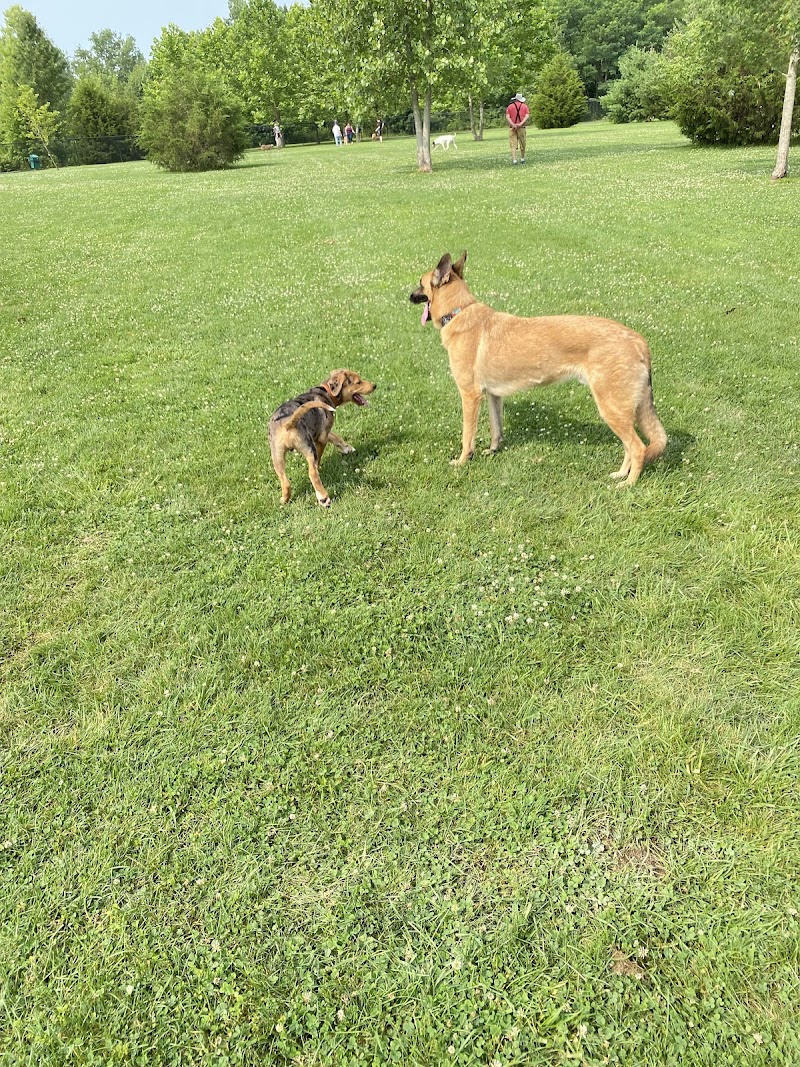 Delaware City Dog Park - Delaware, OH