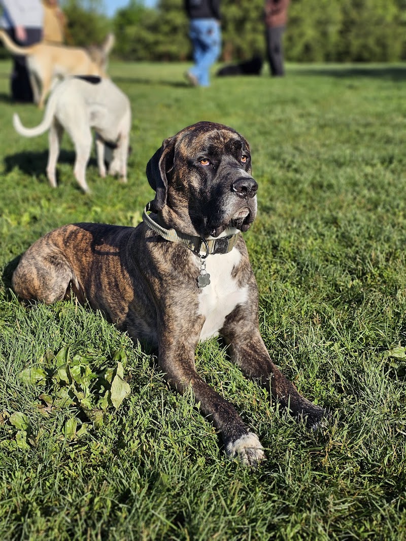 Delaware City Dog Park - Delaware, OH