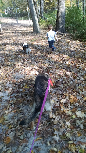 Delaware Reservoir Playground