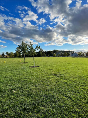 Glenross Park