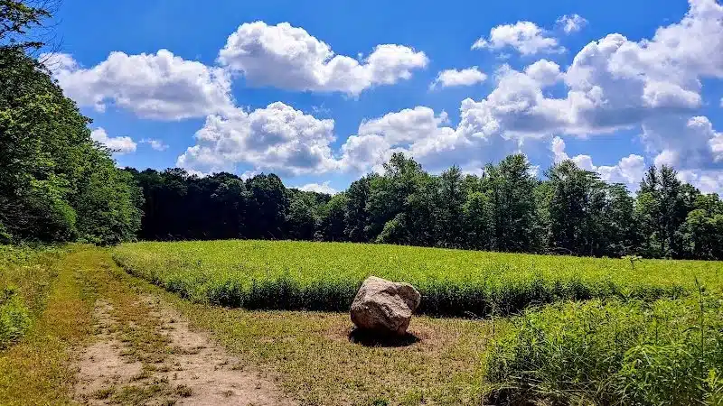 Hickory Woods Park - Delaware, OH