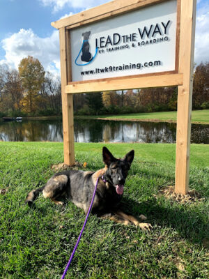 Lead the Way K9 Training & Boarding , LLC.