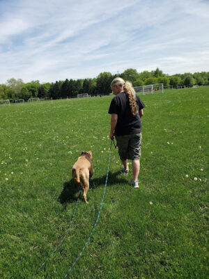 Mingo Park