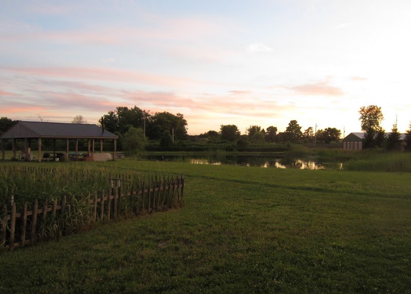 Mutt's Paradise AmuseMutt Park & Dog Training Center - Delaware, OH