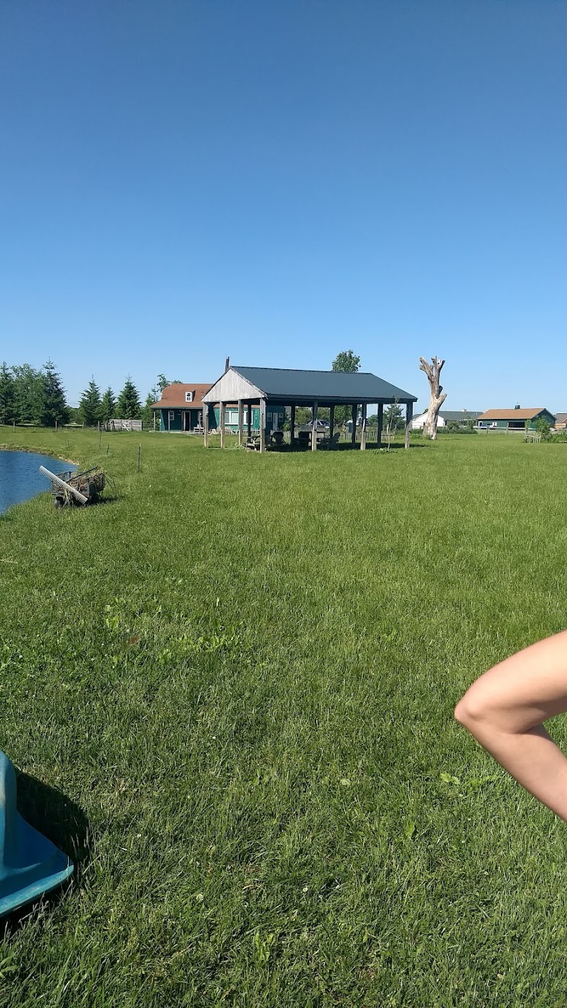 Mutt's Paradise AmuseMutt Park & Dog Training Center - Delaware, OH